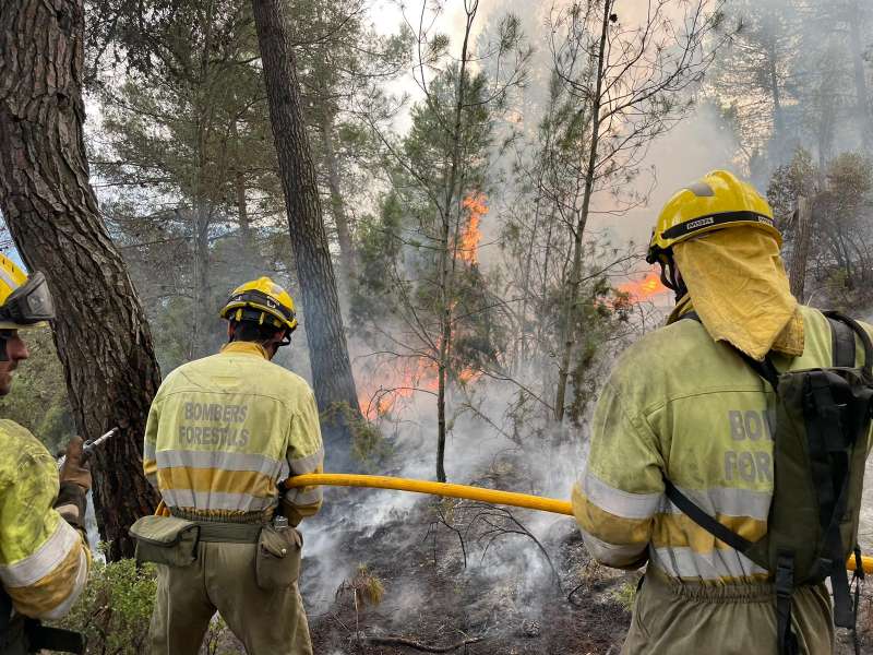 Imagen de archivo de bomberos forestales  Foto: GVA