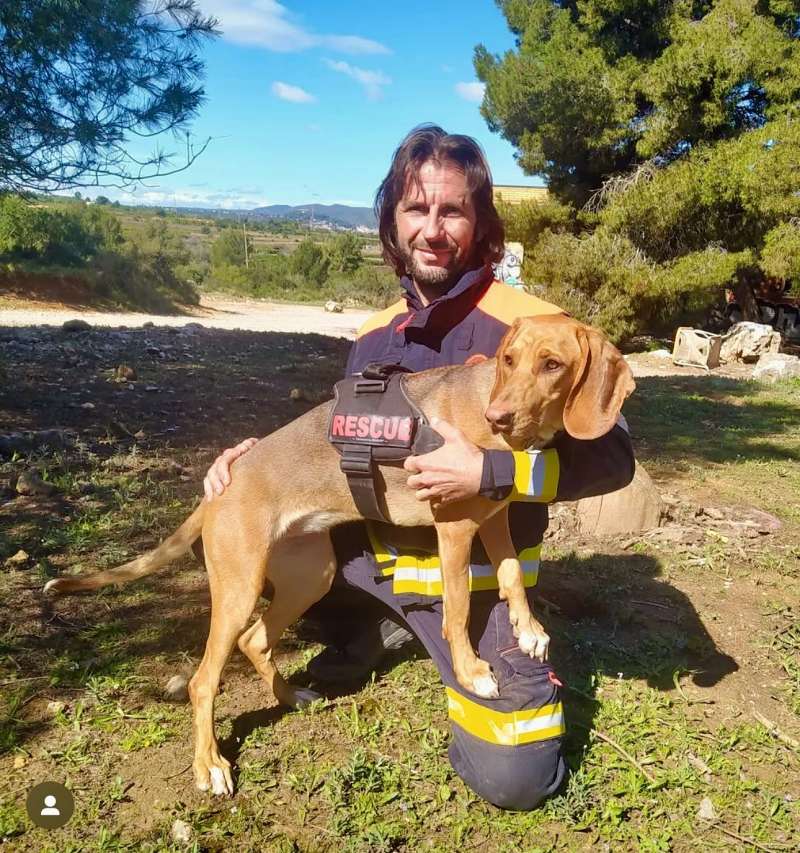 Imagen de Wiki, la perrita que salv la vida a una vecina de Patraix. EPDA