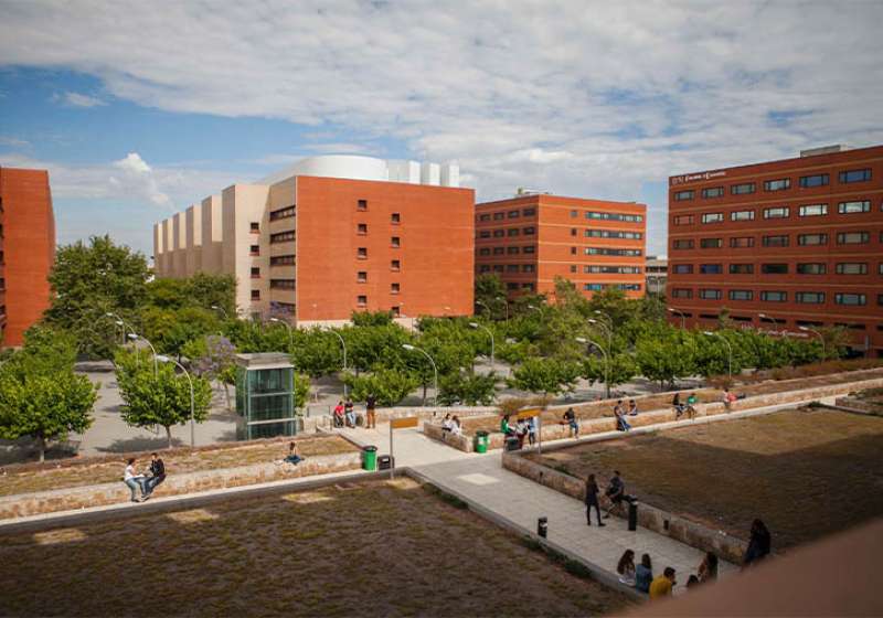 Imagen de archivo del campus de Tarongers de la Universitat de Valncia.EPDA