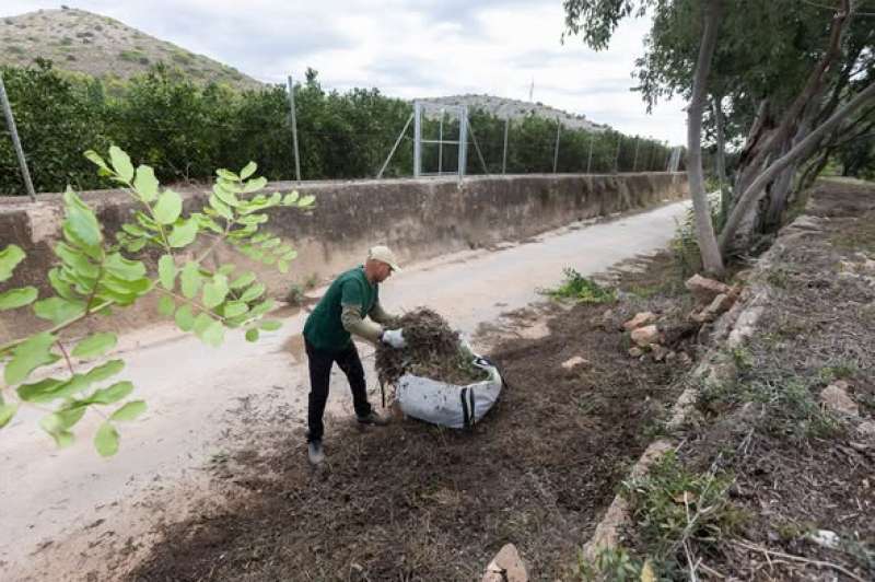 Un operari del SEPE agr�cola treballa en la millora dels espais naturals a Gandia EPDA