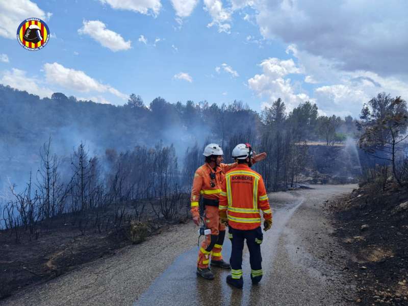 Incendio forestal en Montroi.EPDA