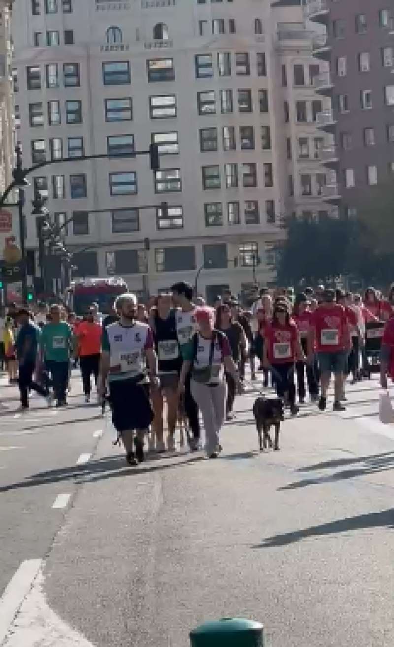 RunCncer Valencia 2025.  EPDA 