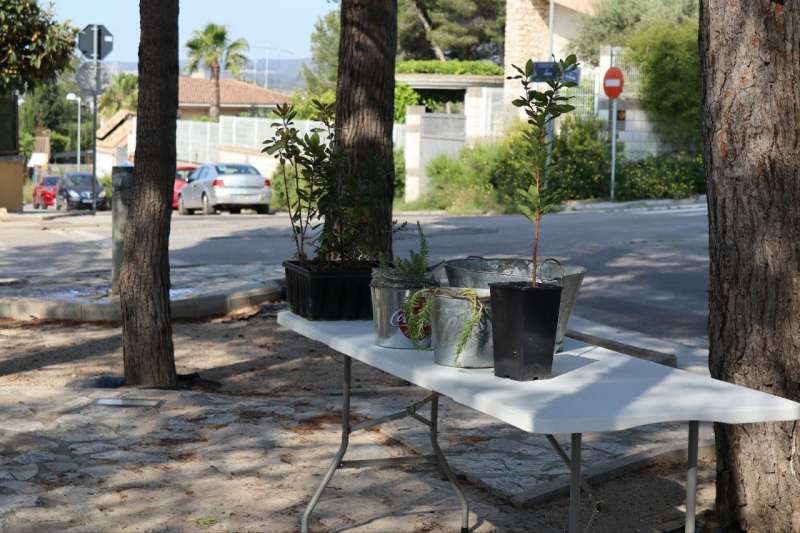 Plantacin de rboles entre las actividades de promocin de la sostenibilidad en Chiva.  EPDA