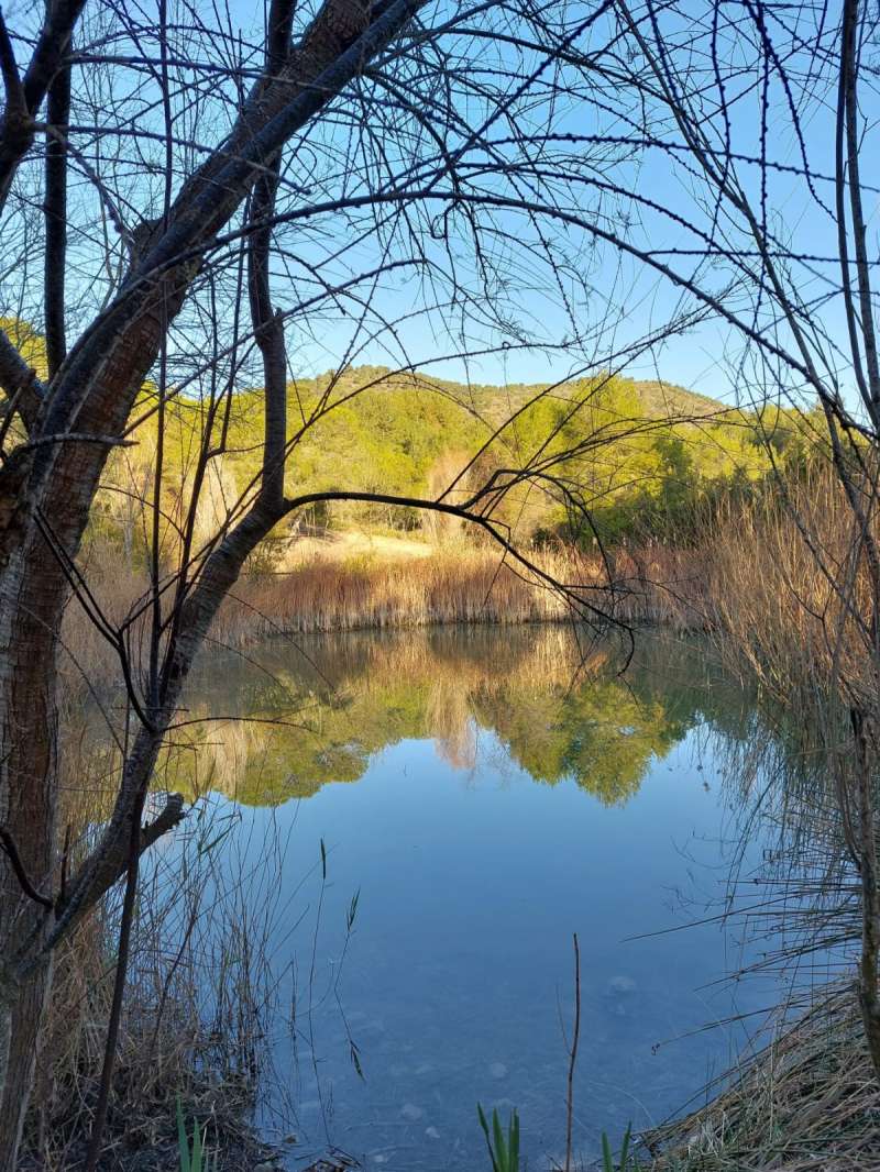 Entorno de Les Rodanes. EPDA