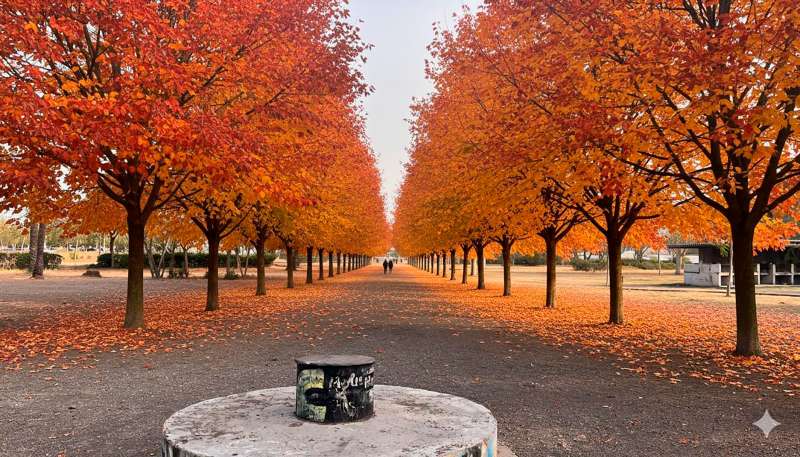 Imagen del proyecto. EPDA