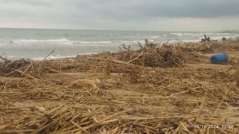 La playa del Saler, este sbado.  EPDA