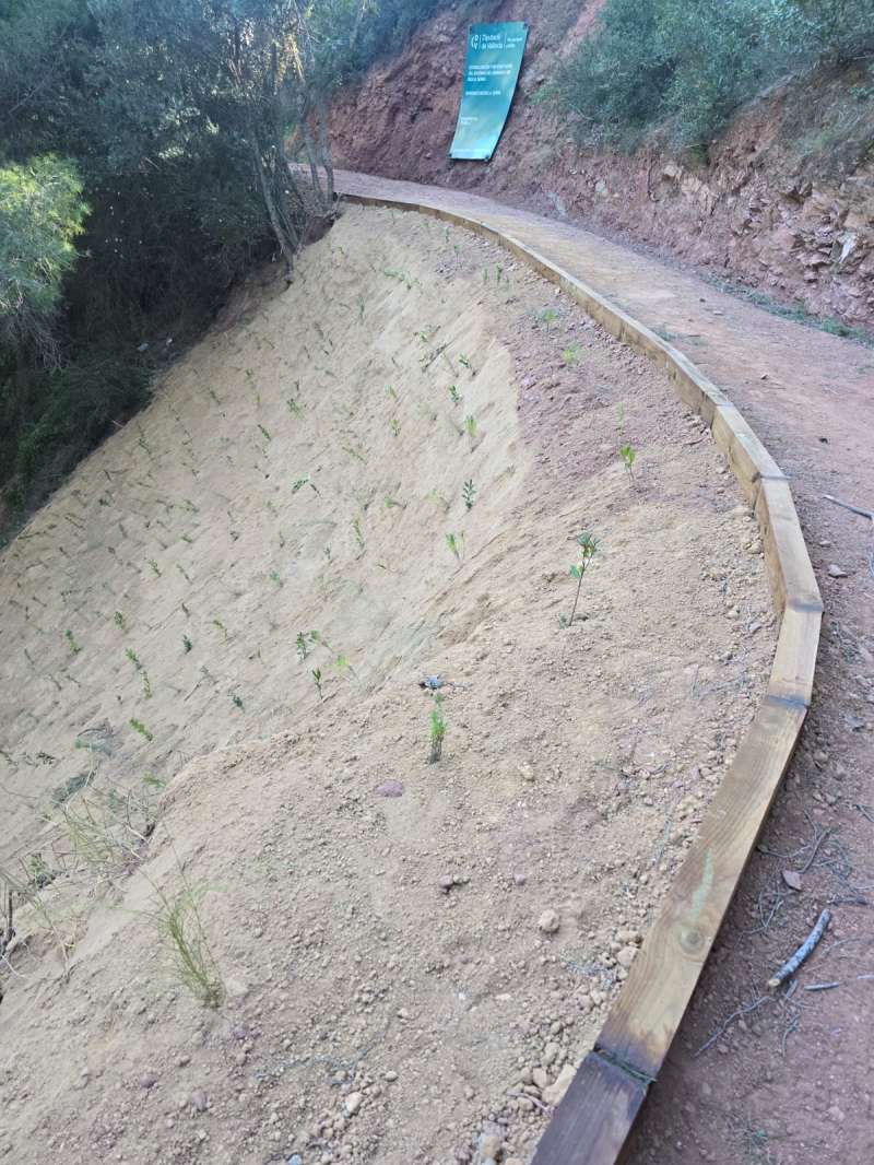 Estabilitzat l?acc�s al barranc de Deula a Serra per a garantir el pas d?emerg�ncies. EPDA