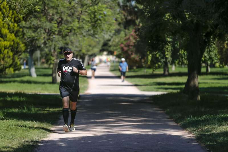 Una persona hace deporte a la sombra de los �rboles del antiguo cauce del r�o Turia. EFEManuel BruqueArchivo
