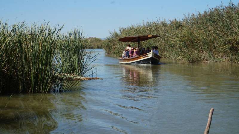 Una barca navega por el Parque Natural de la Albufera. EFE