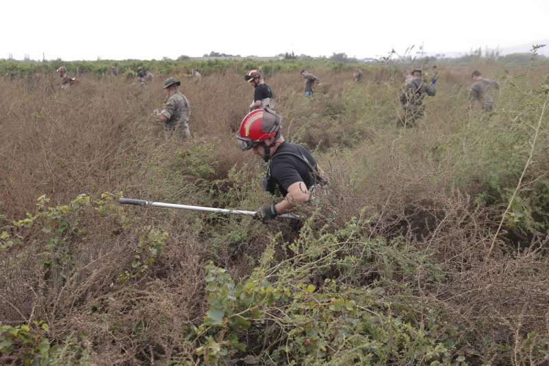 Bomberos, ejrcito y miembros de la UME trabajan en las labores de bsqueda de posibles vctimas en los campos cercanos a la zona de Loriguilla, Valencia, este mircoles.  EFE Manuel Bruque