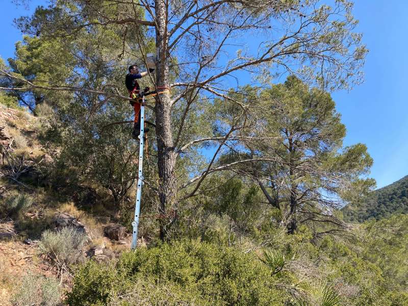 Installaci dels sensors a Serra. EPDA