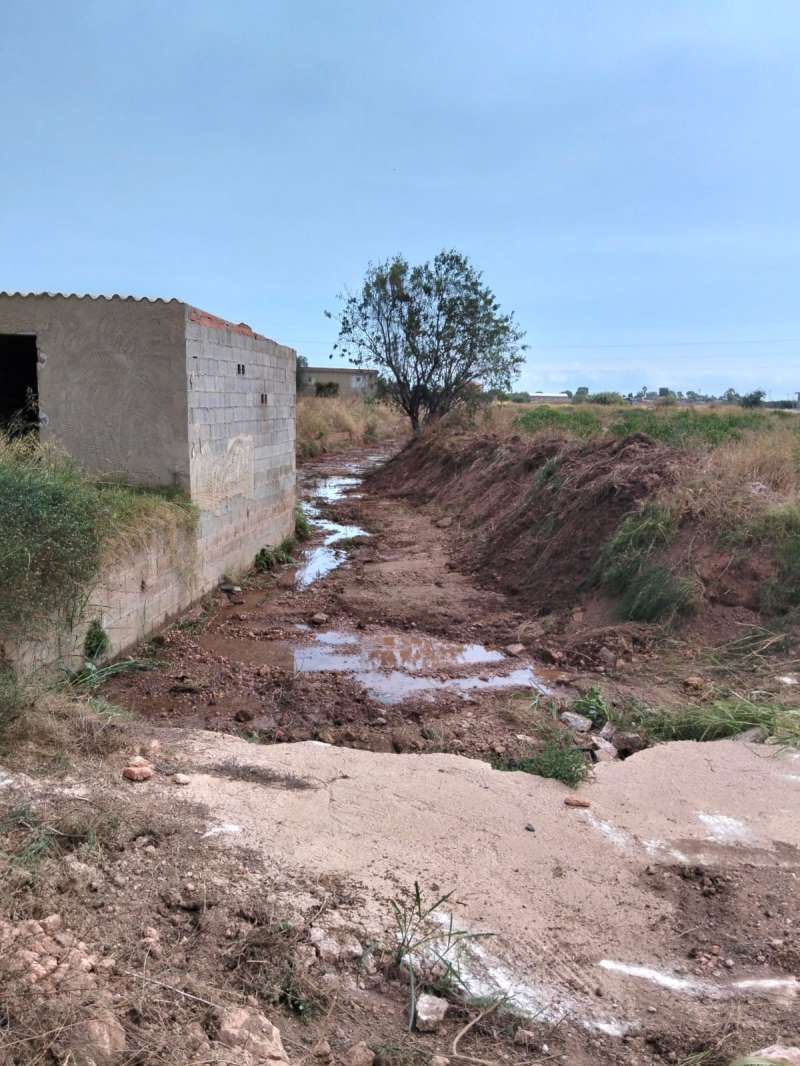 Neteja del barranquet i els seus voltants.EPDA