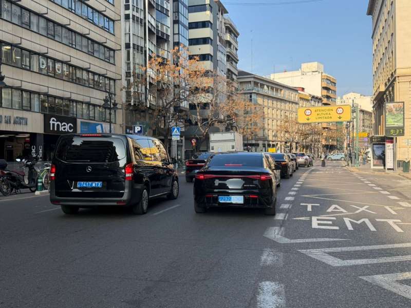 Imagen facilitada por los convocantes de la protesta
