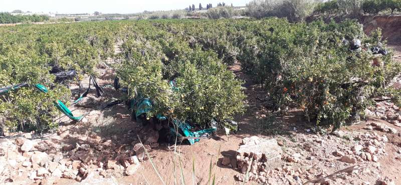 Danys soferts als camps de Picassent per la barrancada del 29 doctubre. EPDA