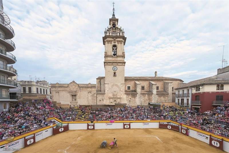 Plaza de Toros de Algemesí en una fotografía facilitada por el Ayuntamiento.
