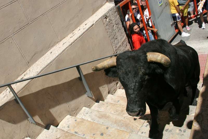 Imagen de archivo de bous al carrer en Puçol