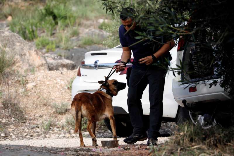 La Guardia Civil, trabajando estos días sobre el terreno en búsqueda del cadáver de Marta Calvo. EFE/Ana Escobar