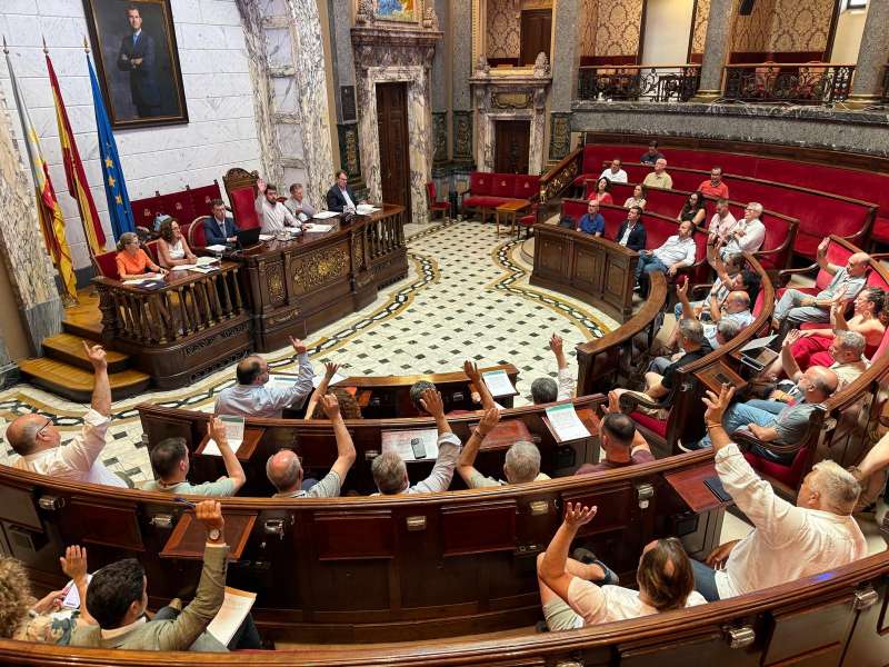 Foto del pleno.  EPDA