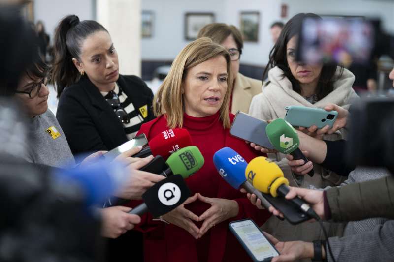 La delegada del Gobierno en la Comunitat Valenciana, Pilar Bernabé, informa a los medios de comunicación. EFE/Andreu Esteban
