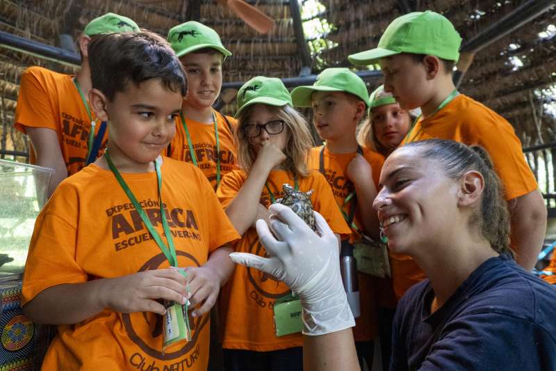 Expedici�n �frica, escuela de vacaciones de BIOPARC Valencia.  EPDA