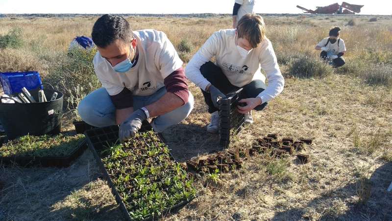 Voluntarios en la playa de Corinto. /EPDA