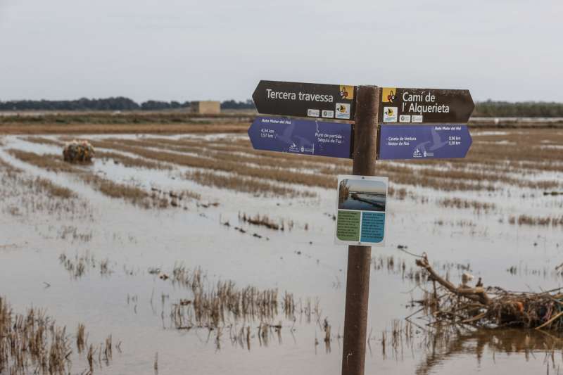La Albufera de Val�ncia. EFEManuel Bruque
