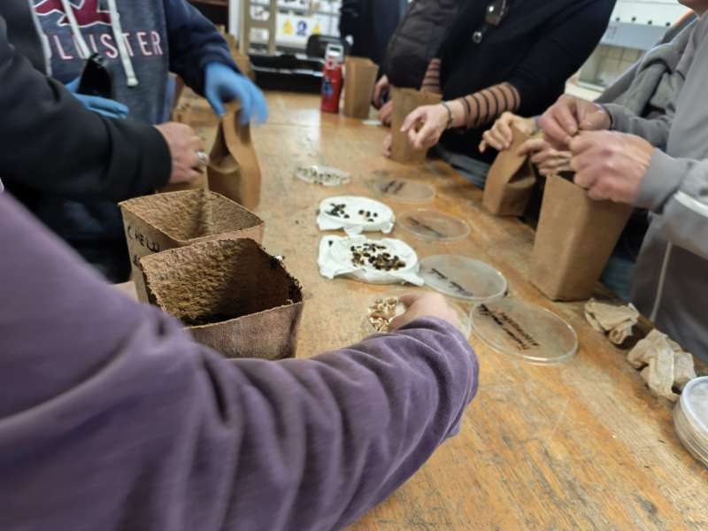 Taller de plantaci� amb pacients de lHospital de Salut Mental de B�tera. EPDA