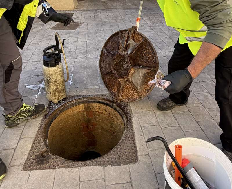 Treballs fets a Alaqu�s.EPDA