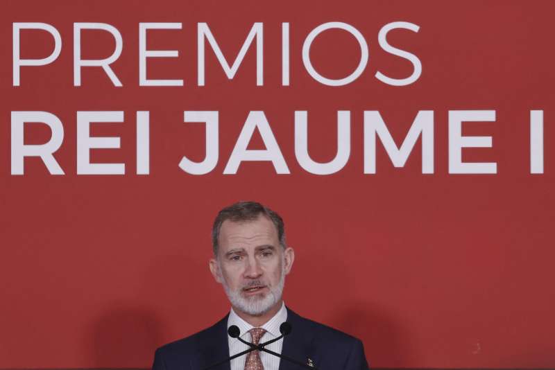 El rey Felipe VI interviene en el acto de entrega de la trigésimo quinta edición de los Premios Rei Jaume I. EFE/ Biel Aliño
