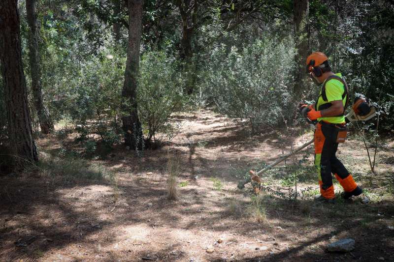 Las brigadas forestales de Torrent inciden en limpiar los senderos y en la ampliacin de las franjas de seguridad