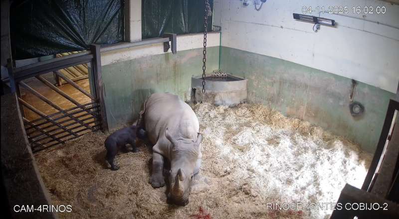 Imagen de la madre y su retoo. EPDA